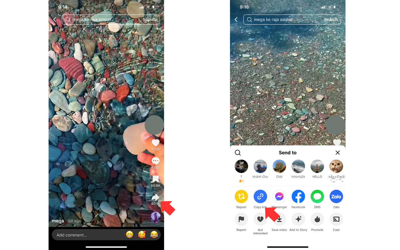Copia el enlace del video de TikTok